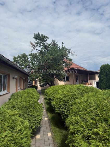 Casă de vânzare ultracentral Sebeș  - 10