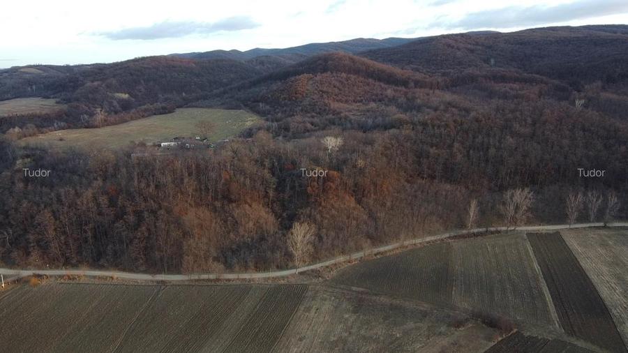 Pădure 268 ha in jud. Bacau, teren, constructii