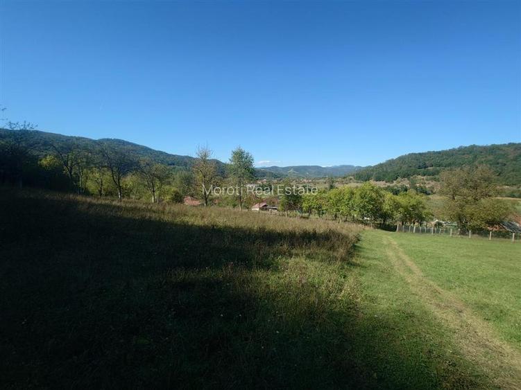 5,6 ha terenuri si padure in Criscior - 5