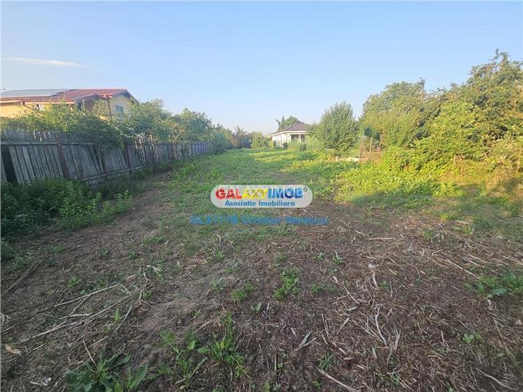 Buftea Str Scolii 1000 mp deschidere 14 ml - 7