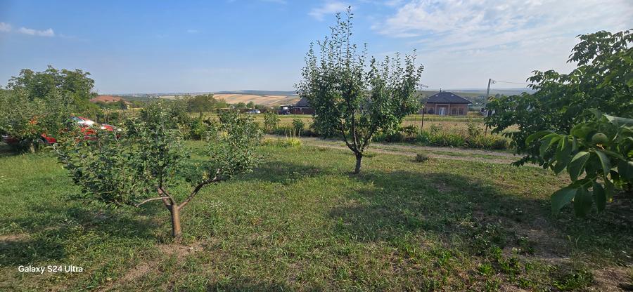 Teren cu cabanuta de lemn in Zaicesti