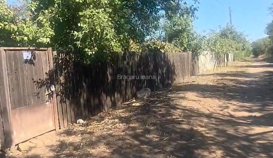 Casă cu grădină în Giubega, Județul Dolj - 6