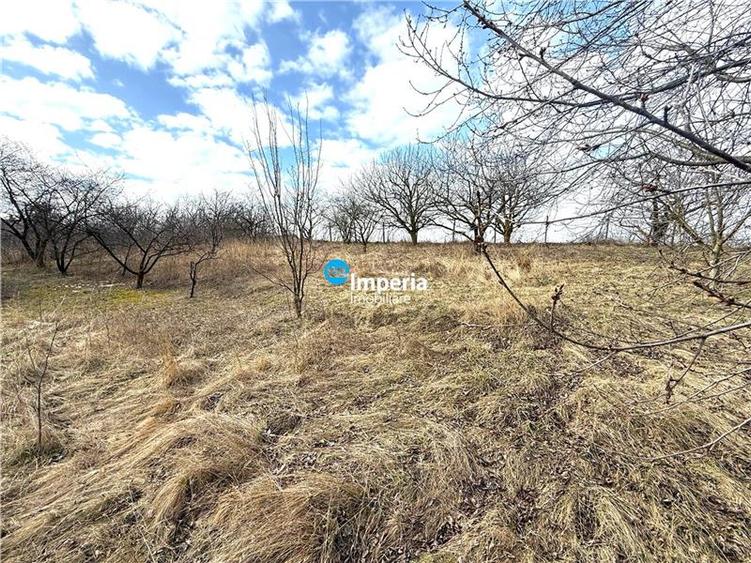 Teren intravilan 4800 mp, investitie, utilitati complete, Dancas Miroslava