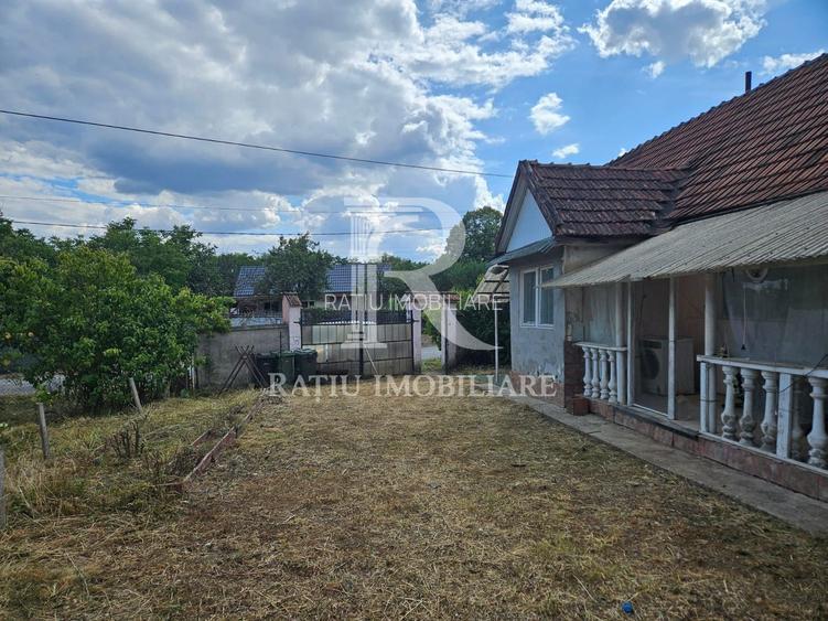 Casa cu teren generos | Spinus | Bihor - 7