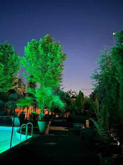 Vila grandioasa, Gradina Japoneza, SPA, Crama, Teren Tenis, Foisor, Iaz Pesti