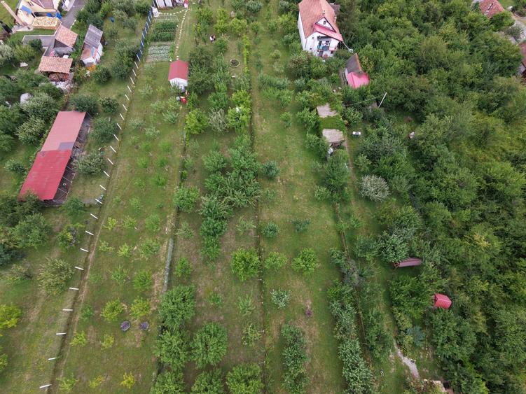 Teren intravilan 1000 mp in Sibiu Daia Noua
