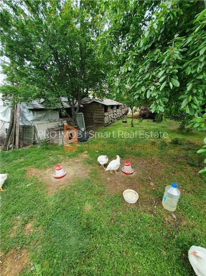 EXCLUSIVITATE! Casa + teren zona Beilic, com. Sageata - 13