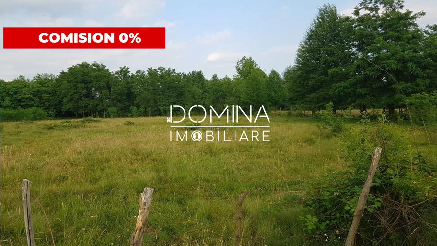 Vanzare teren intravilan 6843 mp, aproape de Manastirea Polovragi
