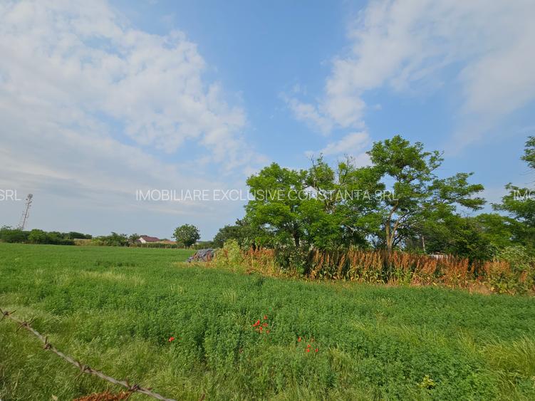 Teren 5.465 mp intravilan și front stradal – Topraisar, Constanța Comision Zero - 2
