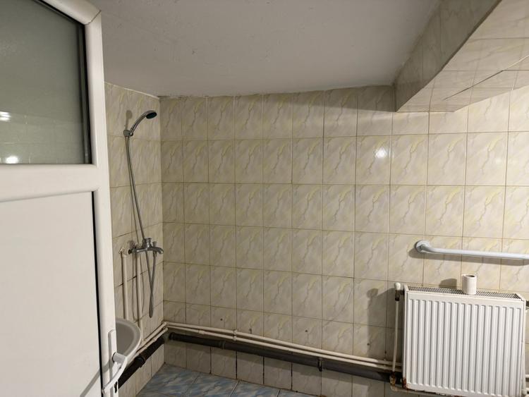 Casă P+1, 140 mp utili, zona Brestei/Râului