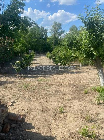Oportunitate de investitie || teren de vanzare || 933 mp Prahova || - 5