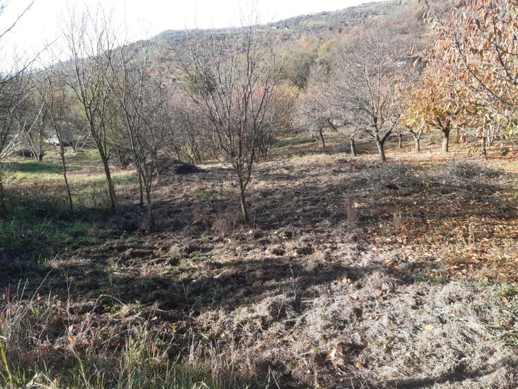 Teren cu acces facil și priveliște panoramică în Podgoria Oradea