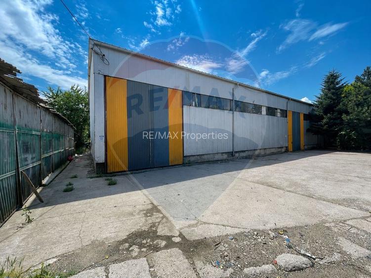 Hală/depozit, platforma betonata 600mp, Stefănești langa Centura - 3