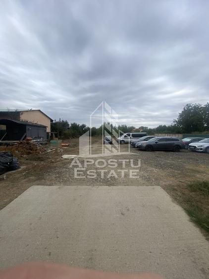 Casa în Dumbrăvița cu teren de 3039 mp și Front Stradal de 40 ml