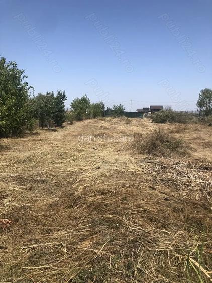 Teren rezidential 1352mp langa padure. Ciorogarla -toate utilitatile la poarta - 4