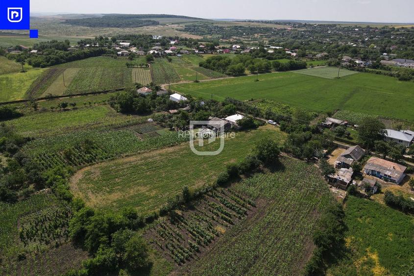 Teren - Ionășeni | BOTOȘANI | 3.285mp - 6