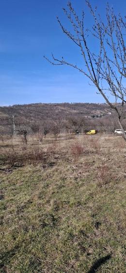 Teren intravilan de vanzare, 860 mp, cu toate utilitatile, zona Podgoria