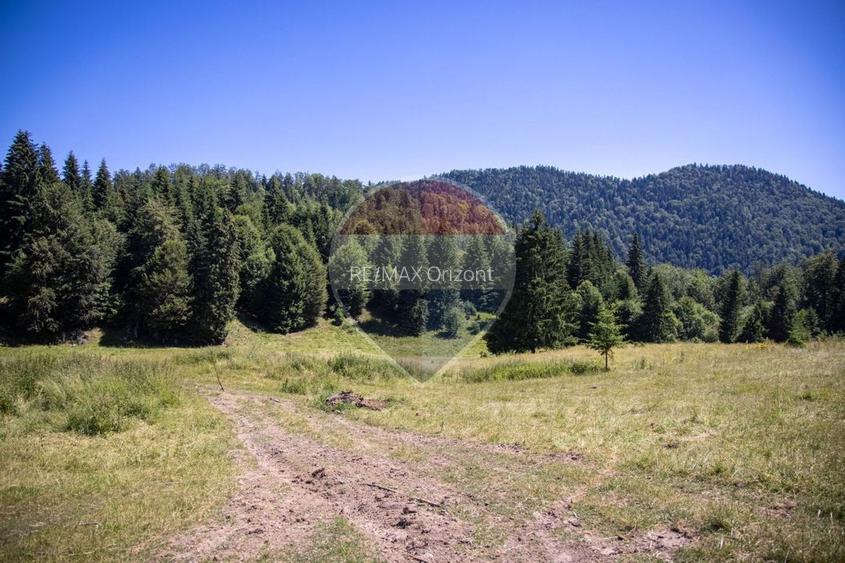 Teren premium– 52.519 mp Dâmbovicioara, Argeș DN73 viitor intravilan - 21