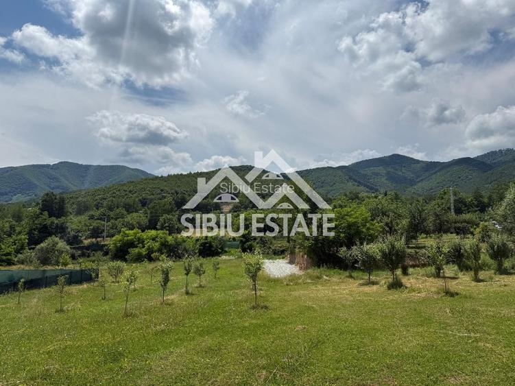 Teren Intravilan 650 mp de Vanzare in Tocile - 1