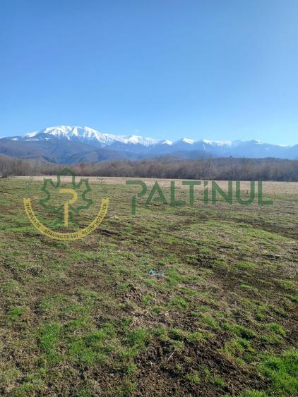Vindem teren Sibiu, Valea Lupului, priveliste deosebita