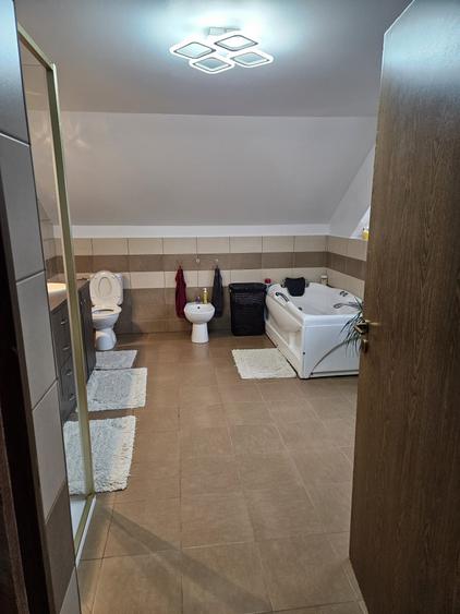 🏡 PROPRIETATE DE EXCEPȚIE – ZONĂ ULTRACENTRALĂ, BAIA MARE