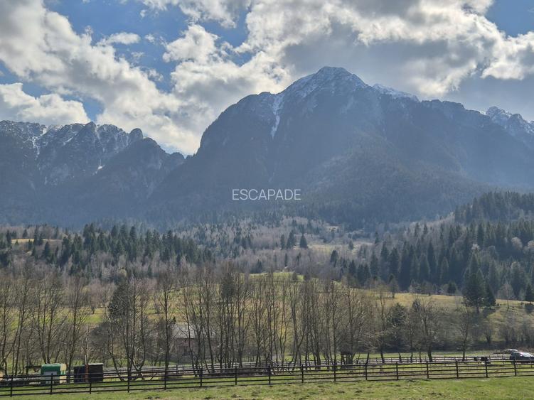 Teren investitie, superb intravilan 1200 mp, Plaiul Foii, vedere la munte - 3