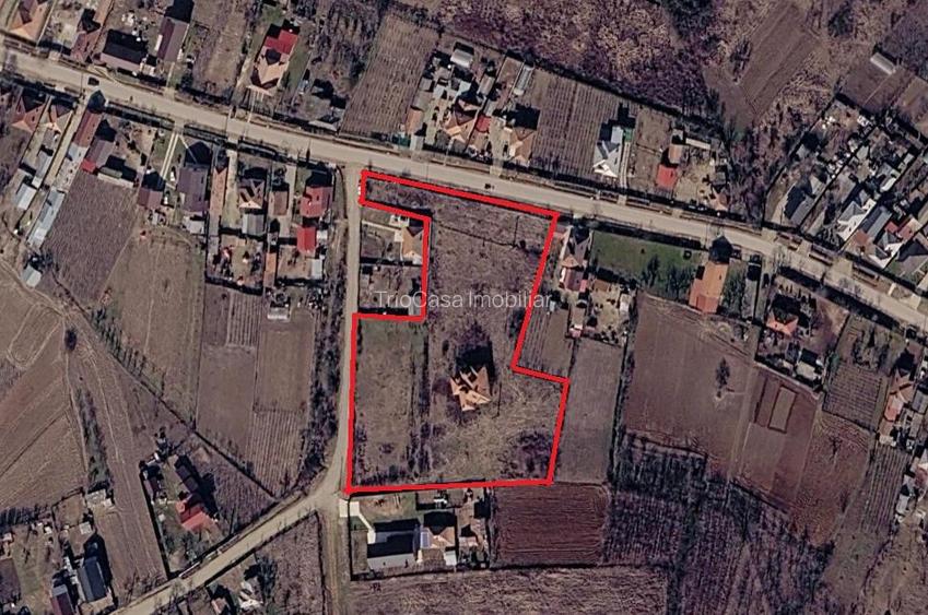 Teren  8 227 mp + Casa demolabila de vanzare in Filiasi -  Fratostita Dolj - 6