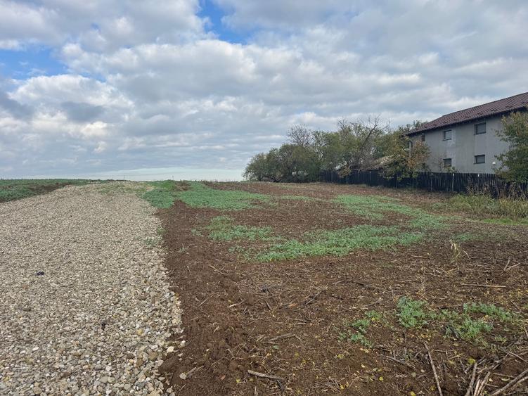 Piscu, Ciolpani, teren intravilan 1000 mp, str. Campului,aproape Muzeu, 29 eur