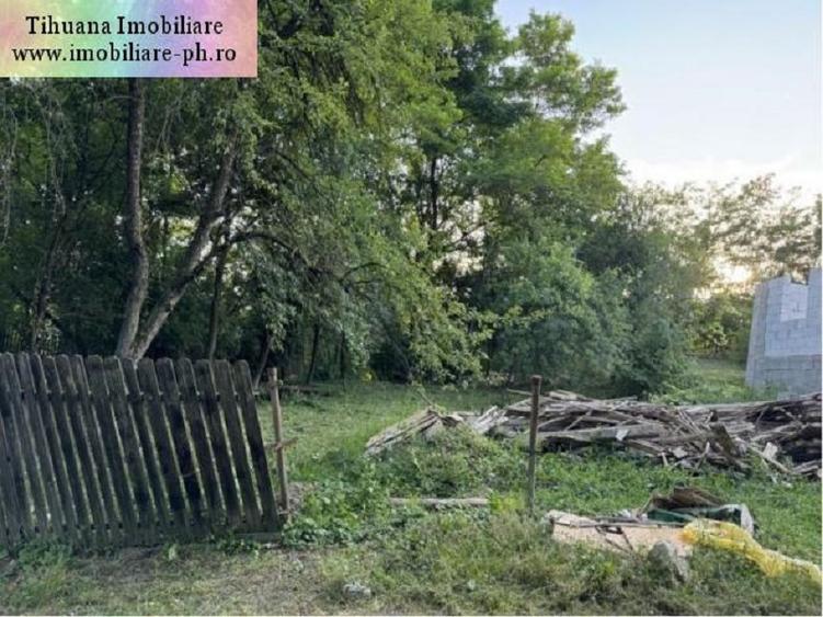 Casa in constructie de vanzare: Aricesti Zeletin,(teren 3100 mp)