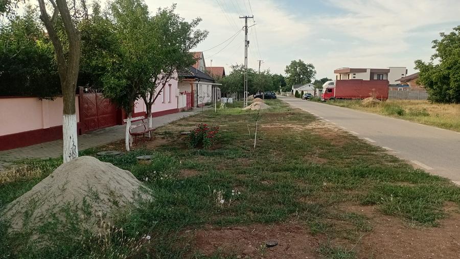 Vanzare Casa in localitatea Bodrogu Nou