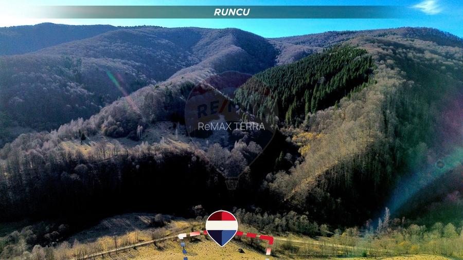 BARAJ RUNCU TEREN DE VANZARE sau schimb cu apartament Baia Mare - 5