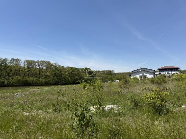 Teren superb la lac – 7.500 mp pentru dezvoltare rezidențială | Brănești