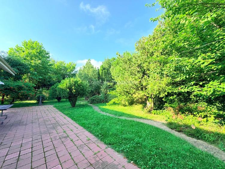 Casă individuală în Bucium - Hanul Dacilor, 342 mp, 1.140 mp teren - 16