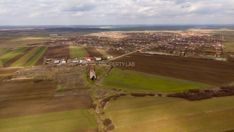 Fermă cu teren intravilan de 35000 mp în Mișca - 3