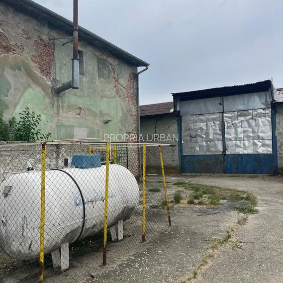 Complex industrial/Ferma de vânzare | Orțișoara, jud. Timiș - 36