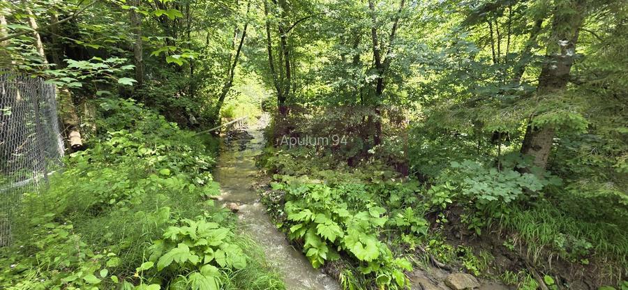 Vila din padure in Valea Doftanei - 46