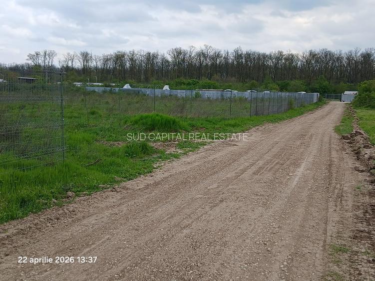 Teren 900 mp Cernica | Toate utilitățile | Deschidere 20 ml | Zonă nouă de case - 12
