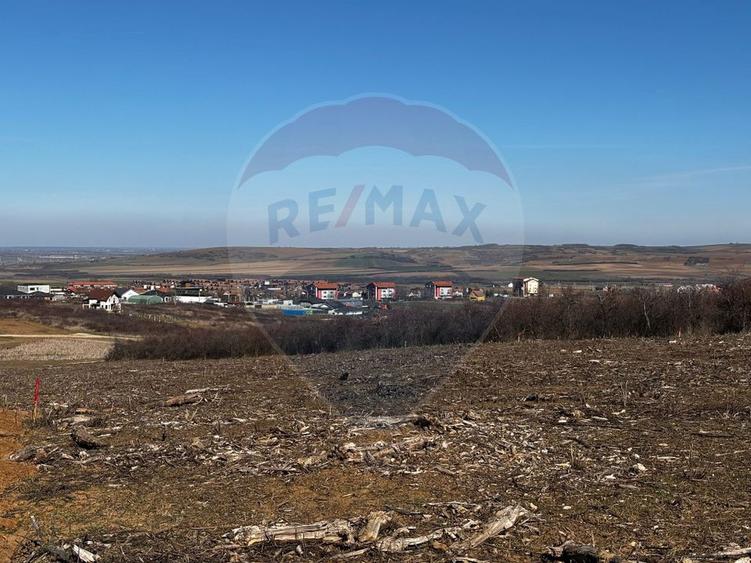 Teren de vânzare – Paleu, județul Bihor | 3 parcele a câte 618 mp