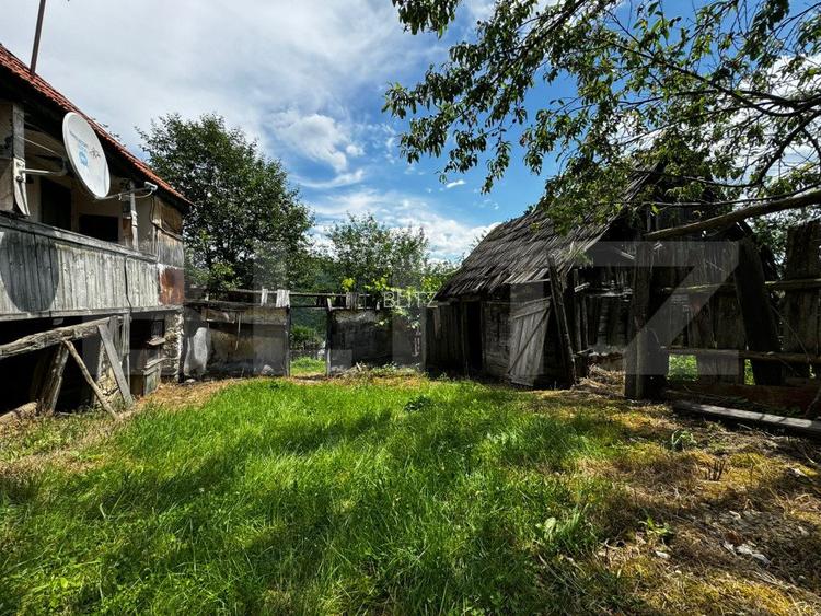 Casă la munte cu teren generos de 9340mp în zona Căpâlna - Valea Sebeșului - 6
