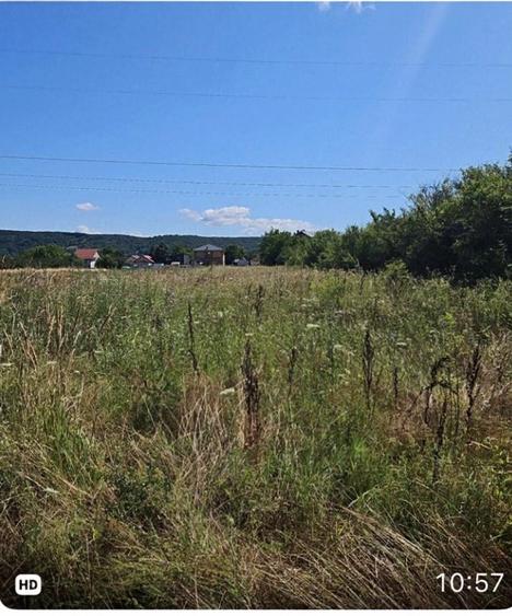 Teren vânzare cu dublu potențial casă și grădină