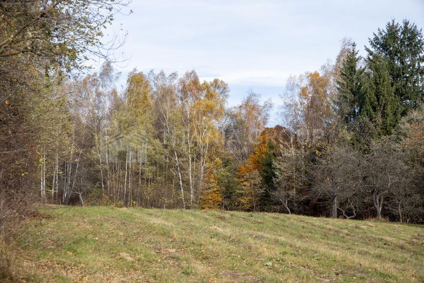 Teren intravilan, cu PUZ, Bran Tohanita, SE ACCEPTĂ ȘI SCHIMB