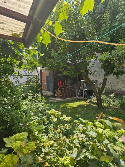 CASA cu teren 260 mp - BRATIANU