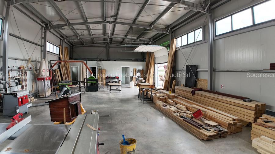 Hală industrială nouă de vânzare – Becicherecu Mic, Tims - 8