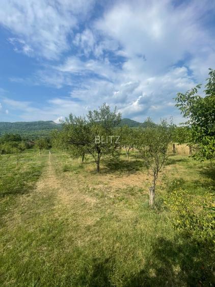 Teren intravilan, 25 ari, zona Tauti de Sus - 3