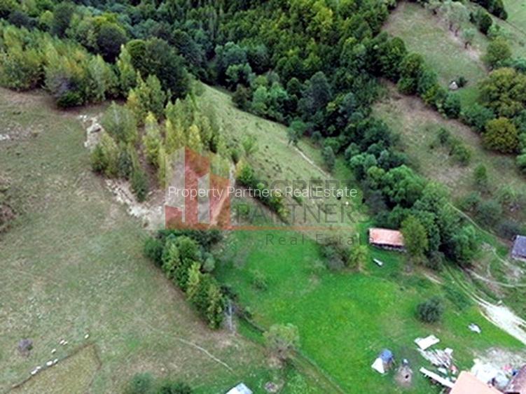 Teren de investiție în Moieciu, lângă Castelul Bran – 11.381 mp, vedere Bucegi - 18