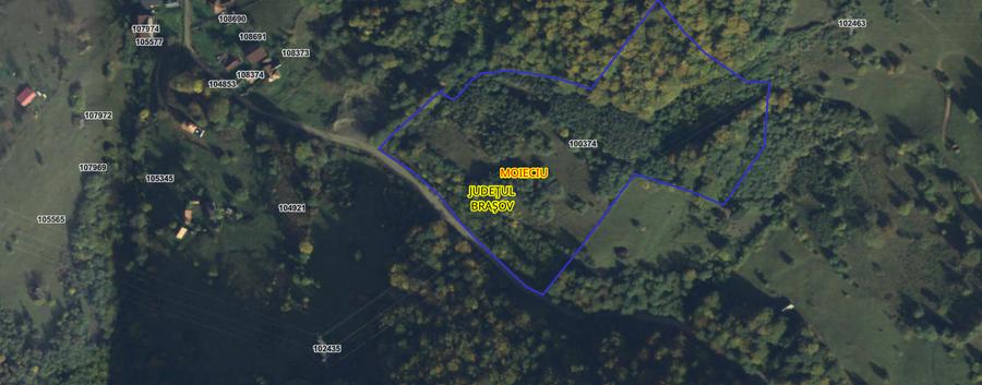 Investitie Smart in Moieciu, 3.1 ha, Panoramă 360 Bucegi - Piatra Craiului