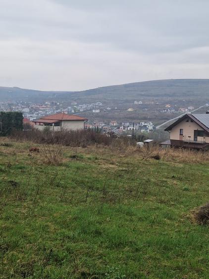 Teren spre Chinteni
