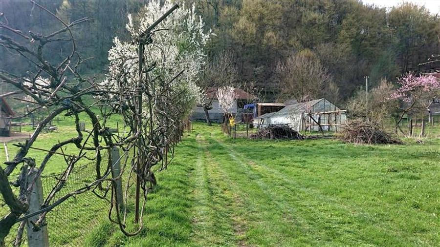 Casa si 3919 mp teren intravilan in Bucuresci, jud. Hunedoara