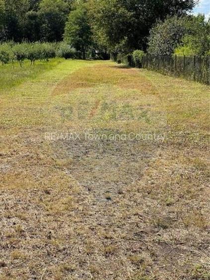 Casă / Vilă cu 3 camere de vânzare - 6
