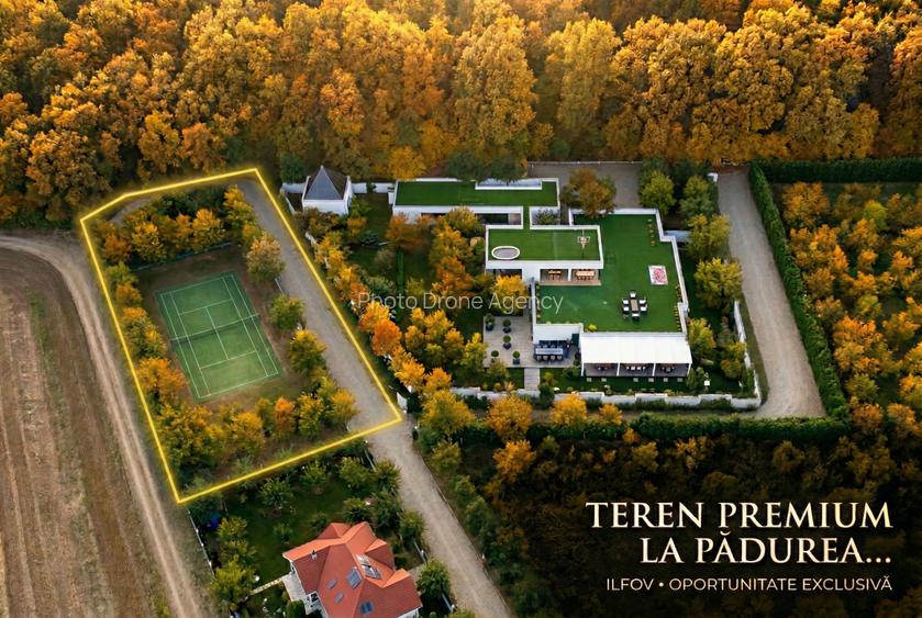Teren de vanzare Strada Pădurii – „Un loc pe care nu îl alegi, ci te alege.” - 1
